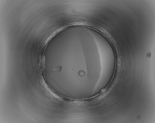 X0000115330993200911161804