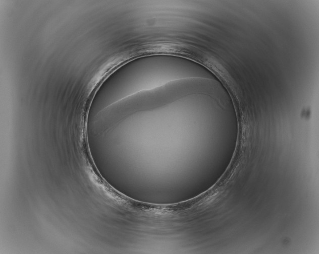 X0000115330994200911161804