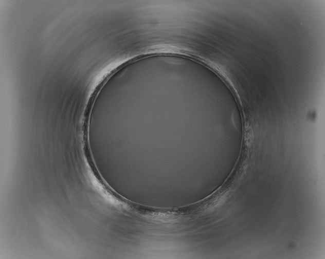 X0000115330995200911161804