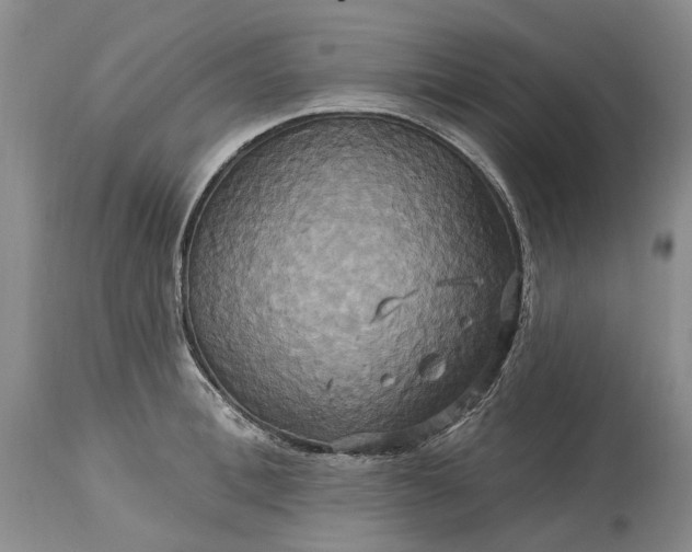 X0000115330996200911161804