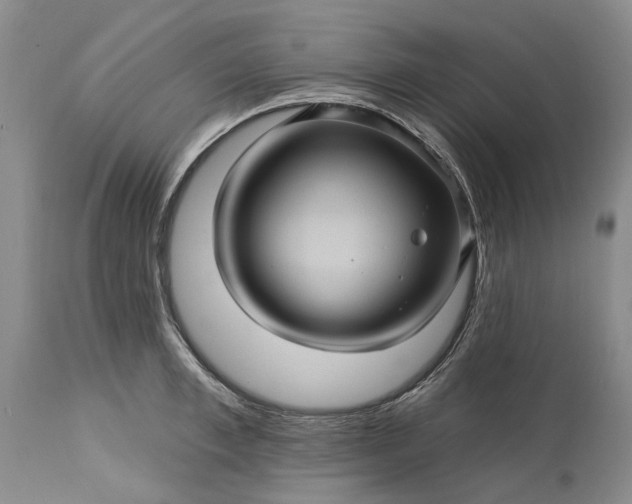 X0000115330997200911161804