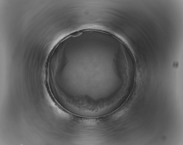 X0000115330999200911161804