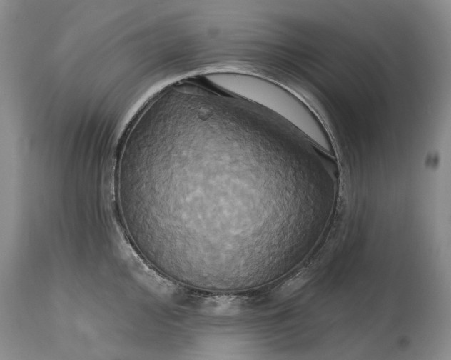 X0000115331000200911161804