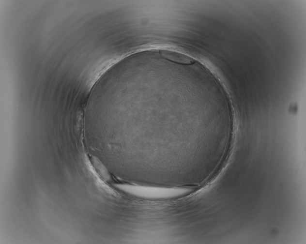 X0000115331001200911161804