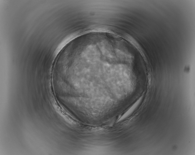 X0000115331002200911161804