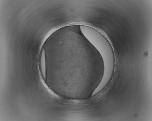 X0000115331005200911161804