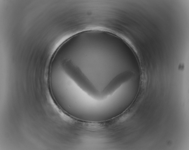 X0000115331007200911161804