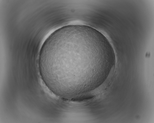 X0000115331008200911161804