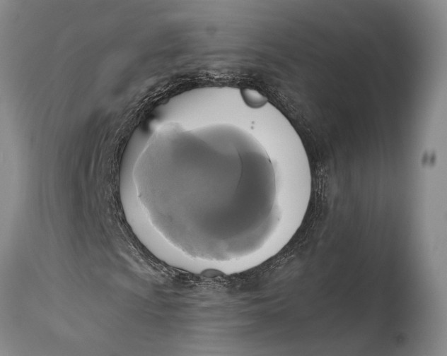 X0000115331009200911161803