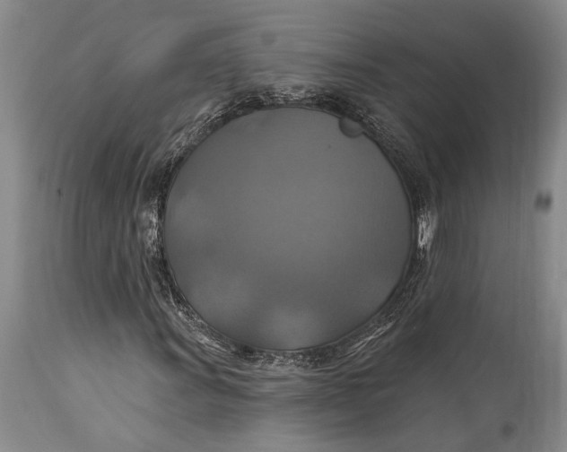 X0000115331011200911161803