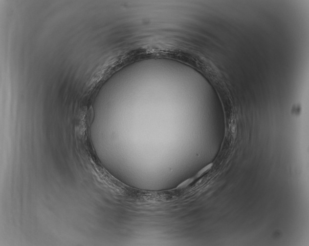 X0000115331012200911161803