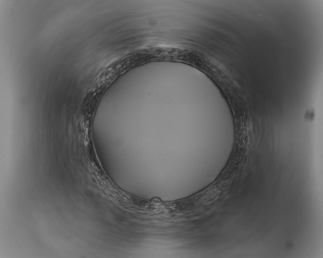 X0000115331013200911161803