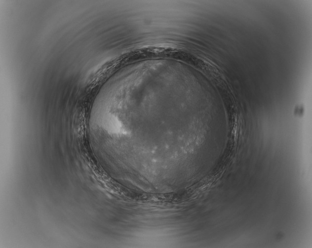 X0000115331014200911161803