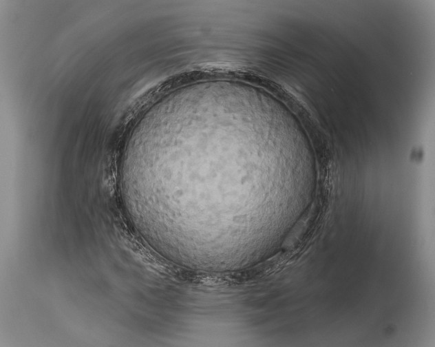 X0000115331015200911161803