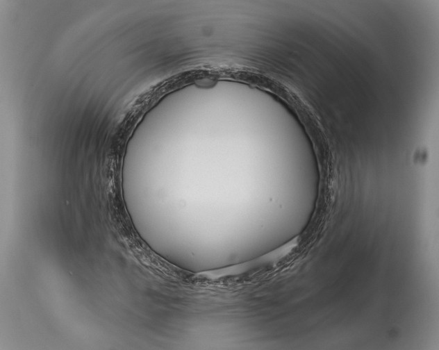 X0000115331016200911161803