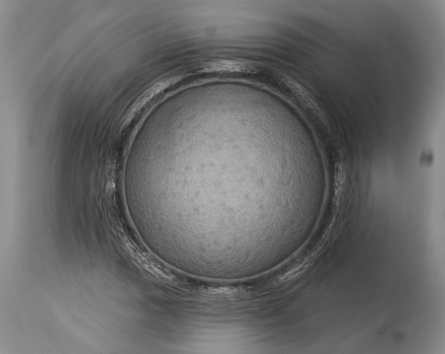 X0000115331017200911161803