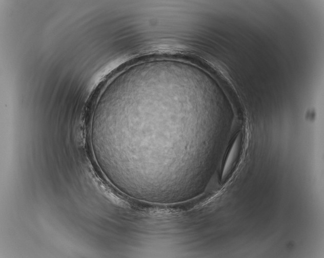 X0000115331018200911161804