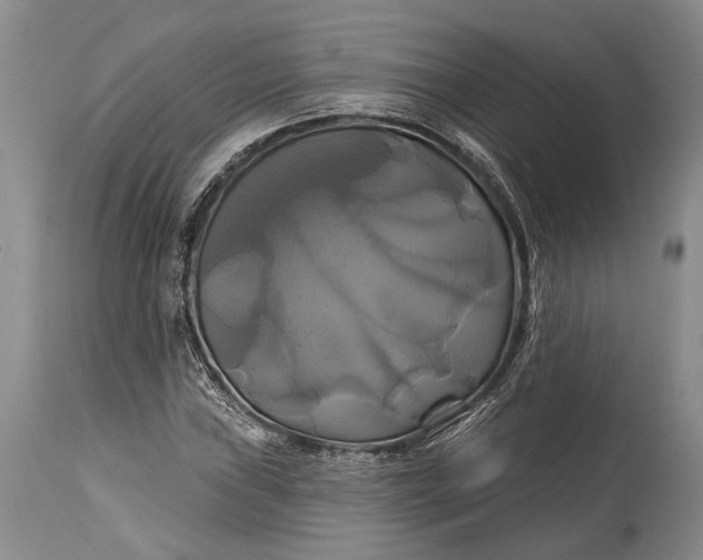 X0000115331019200911161804