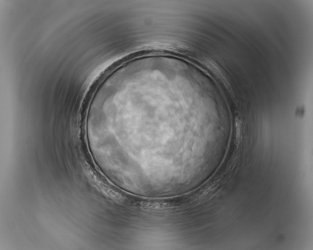 X0000115331020200911161804