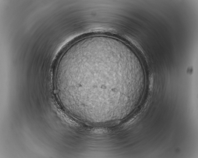 X0000115331021200911161804