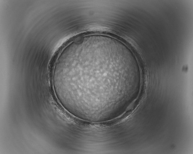 X0000115331022200911161804