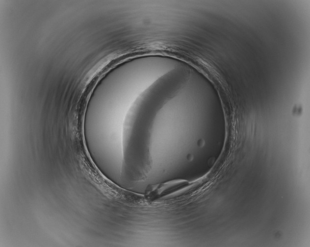X0000115331023200911161804