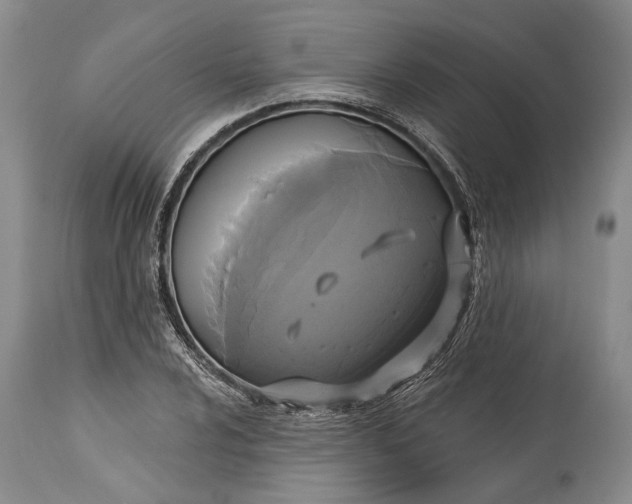 X0000115331024200911161804