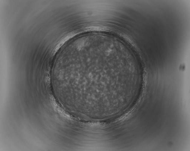 X0000115331025200911161804
