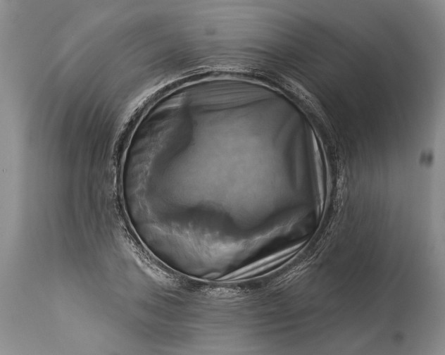 X0000115331027200911161804