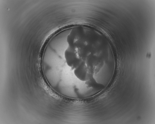 X0000115331029200911161804