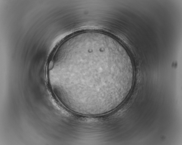 X0000115331030200911161804