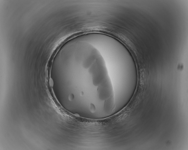 X0000115331031200911161804