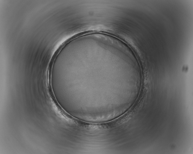 X0000115331032200911161804
