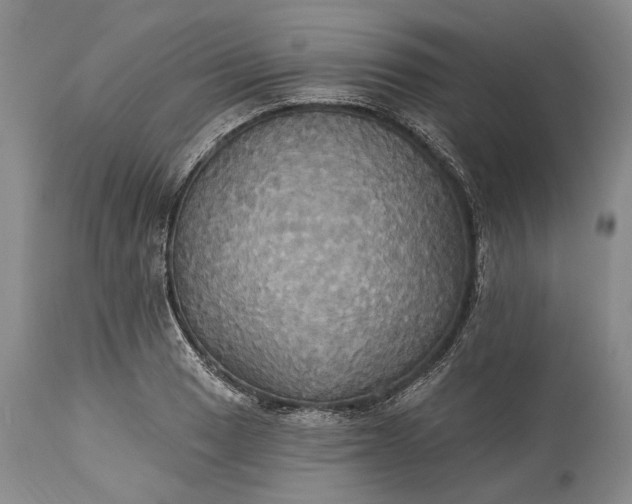 X0000115331033200911161804