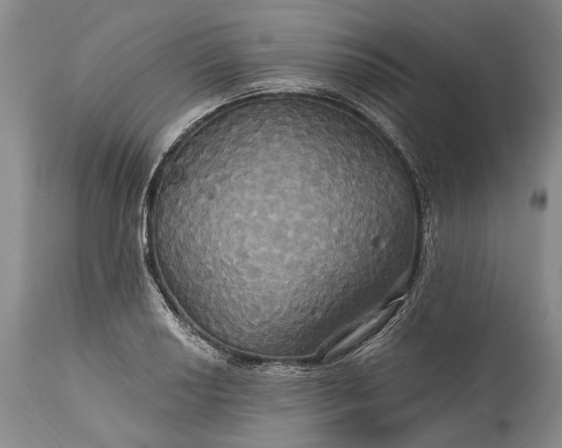 X0000115331034200911161804