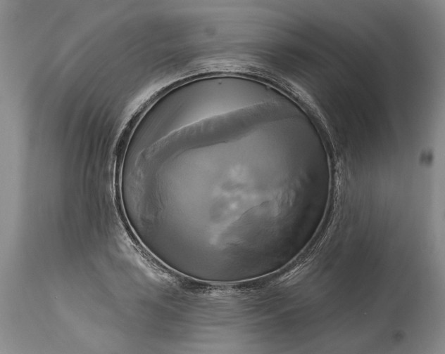 X0000115331035200911161804
