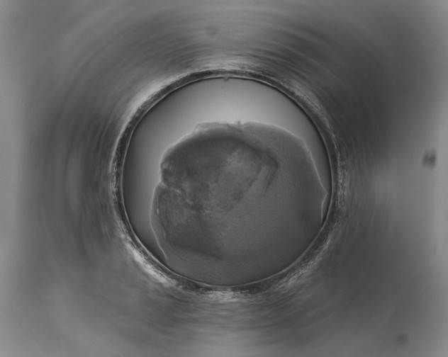 X0000115331037200911161804