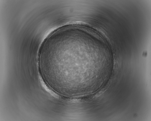 X0000115331038200911161804