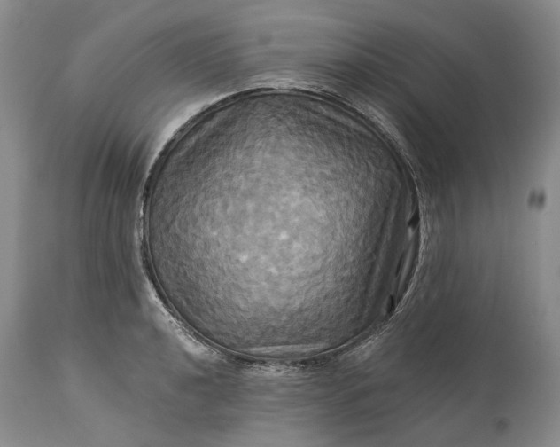 X0000115331040200911161804
