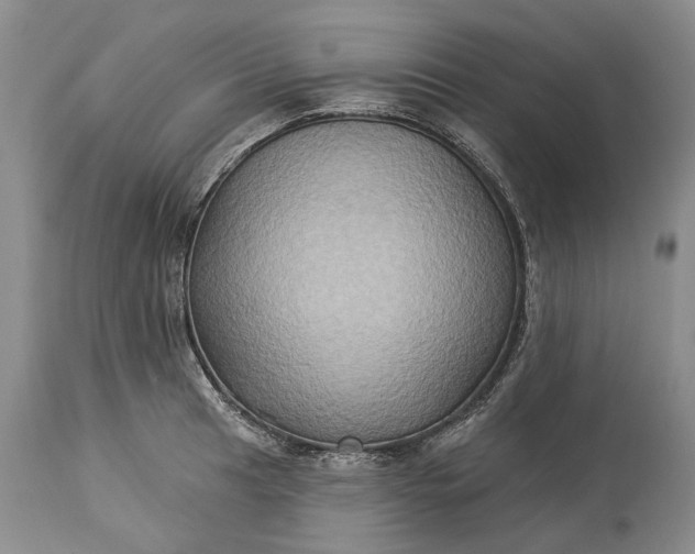 X0000115331041200911161804