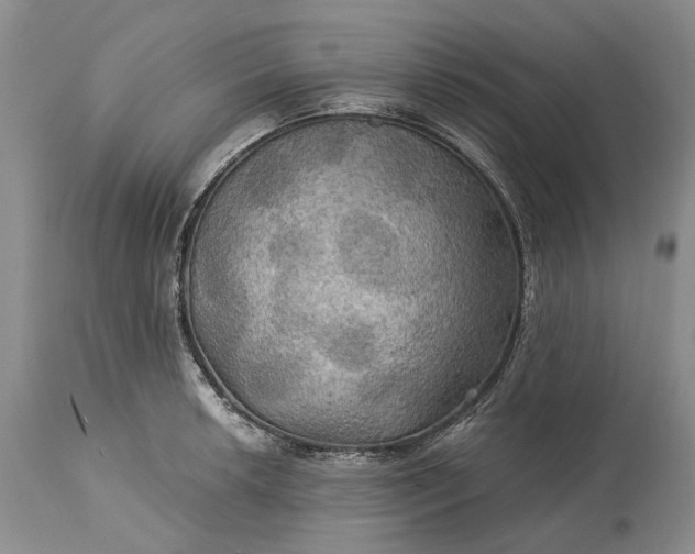 X0000115331042200911161804