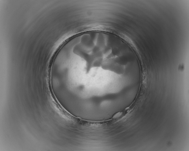 X0000115331043200911161804