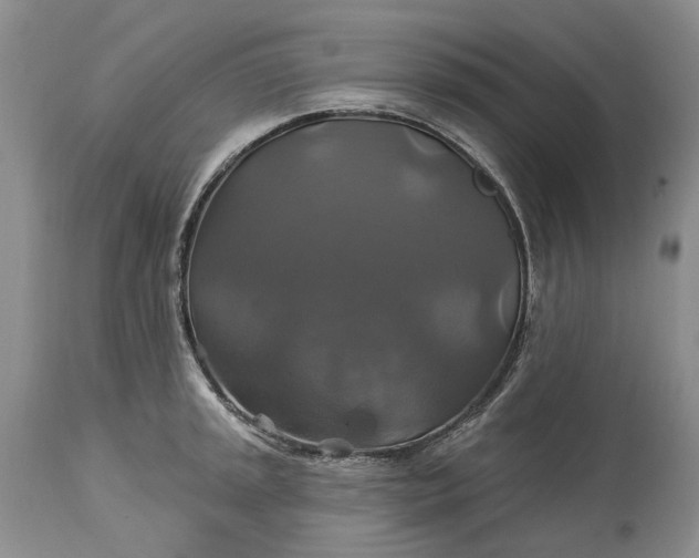 X0000115331045200911161804