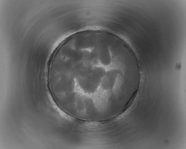X0000115331046200911161804