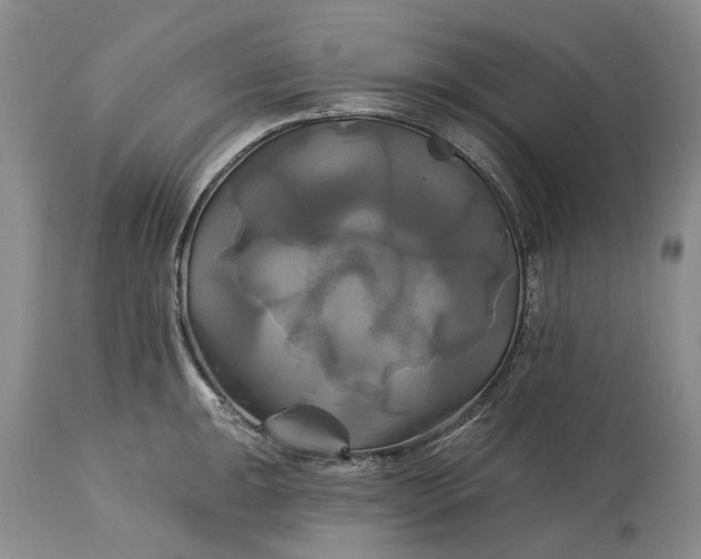 X0000115331047200911161804