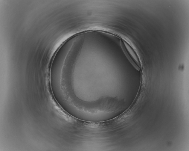 X0000115331048200911161804