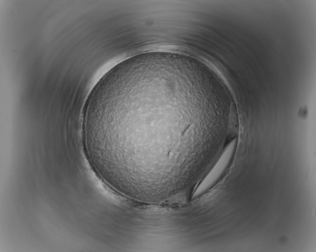 X0000115331050200911161804