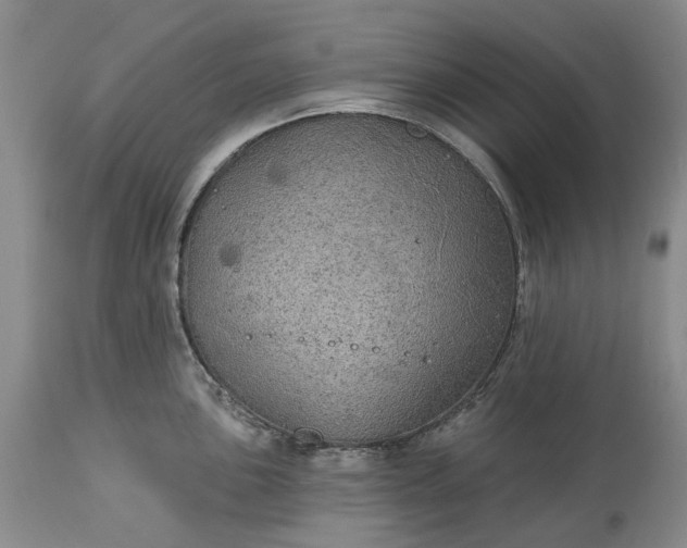 X0000115331051200911161804
