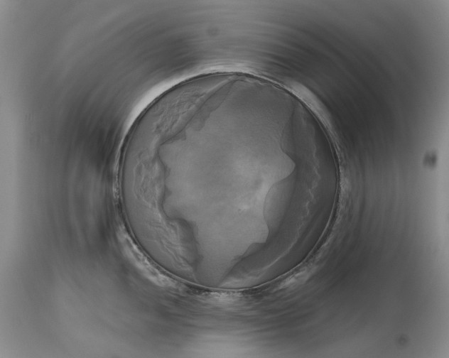 X0000115331052200911161804