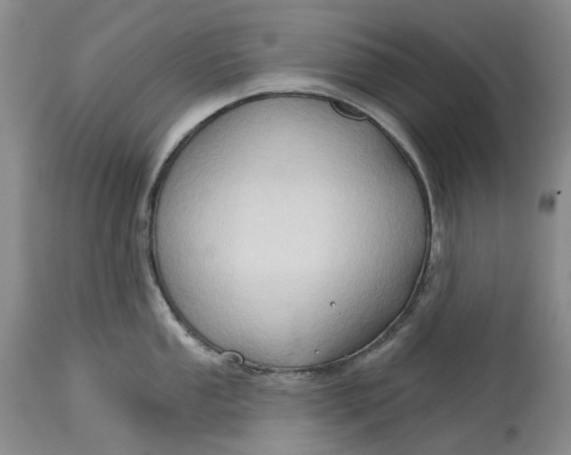 X0000115331053200911161804